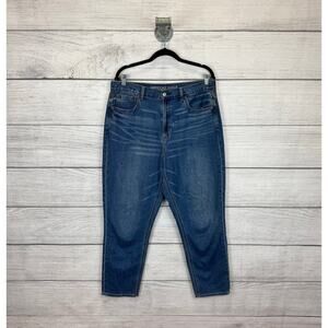 American Eagle Plus Size High Rise Mom Jeans Size 14